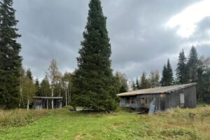 Den populära dansbanan i Lillfjäten