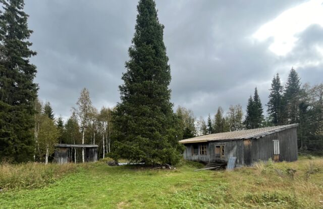 Lillfjätens festplats…
