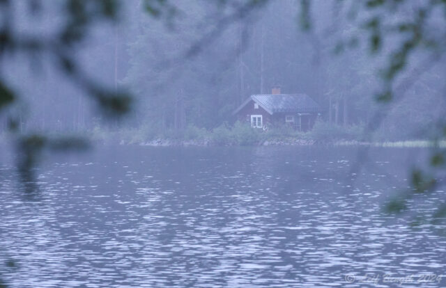 Stugsviten/Flottarkojan