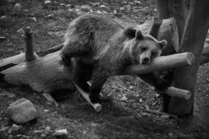 Siesta i parken...