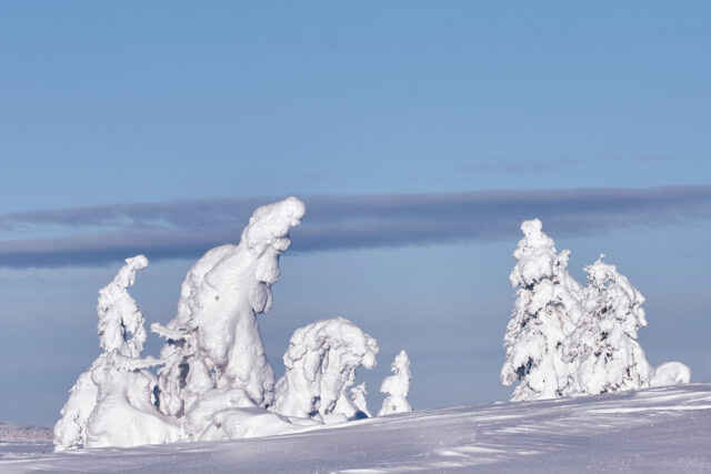 Strävsamt på Anjosvarden