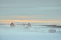 Januarimorgon i Bonäs