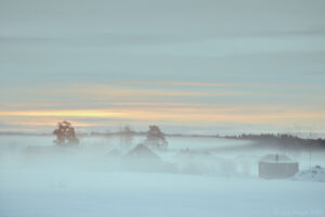 Januarimorgon i Bonäs
