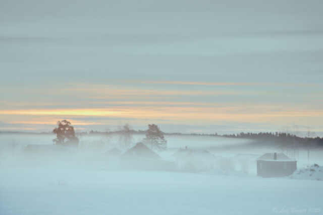 Januarimorgon i Bonäs