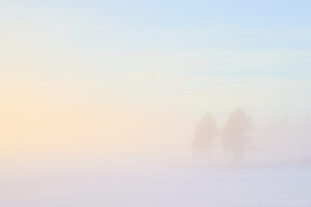 Mjuka morgonnyanser