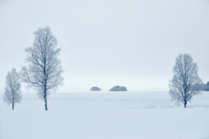 Vy över Orsasjön
