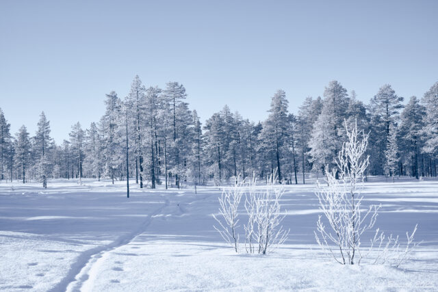 Våmhuskölen