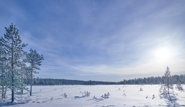 Vacker morgon på Kölmyren