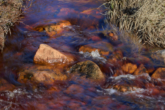 Den lilla vårbääcken