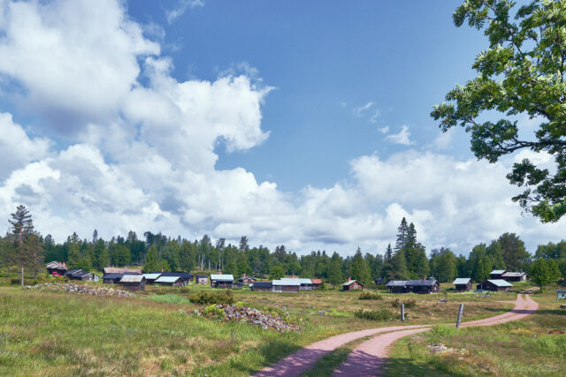 En del av Stora Vasselnäs