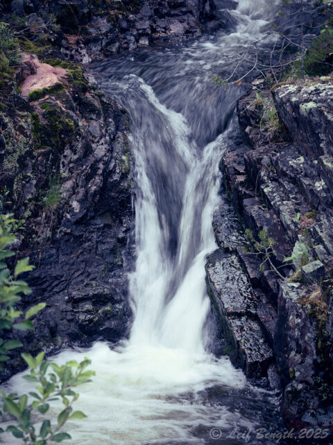 Haraldsbäcken