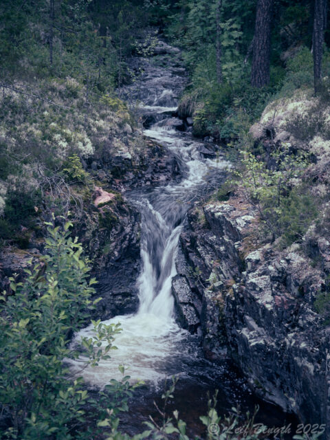 Haraldsbäcken