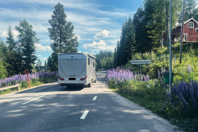 Vildmarksvägen i Gäddede