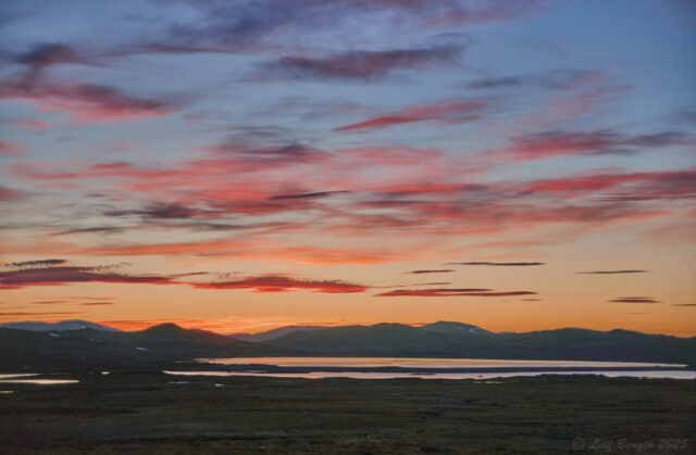 Stekenjokk mitt i natten...