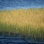 Höstbilder i sommarvärme