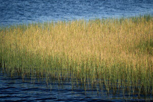 Höstbilder i sommarvärme