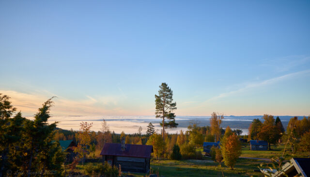 Skön morgon på vallen