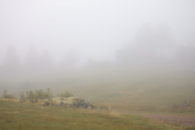 Dimma på vallen