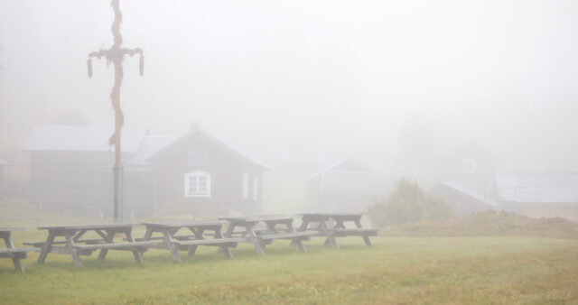 Dimma på vallen