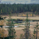 Geddtjenn – en skön plats