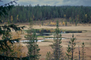 Geddtjenn - en skön plats