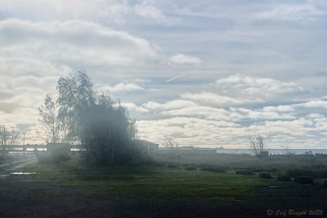 Regnig dag och natt i Grönhögen