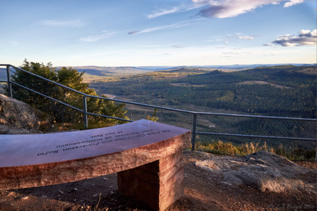 Utsikt över våmhusskogarna