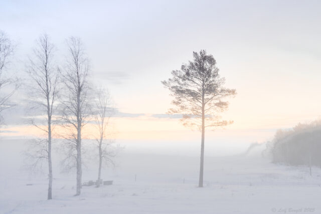 En januarimorgon