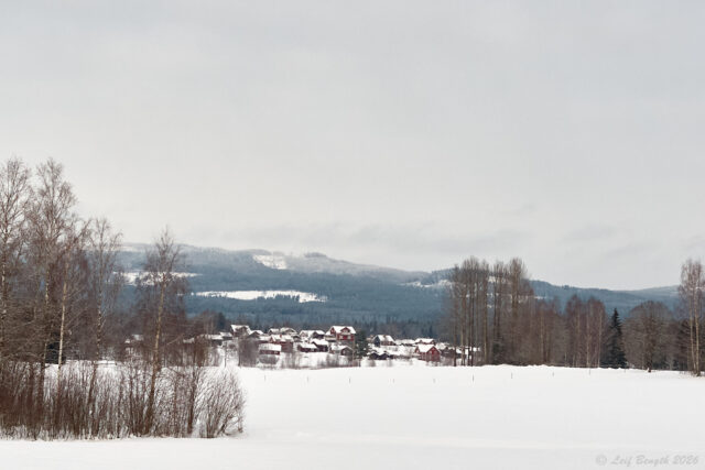 Stadn´/Björkvassla
