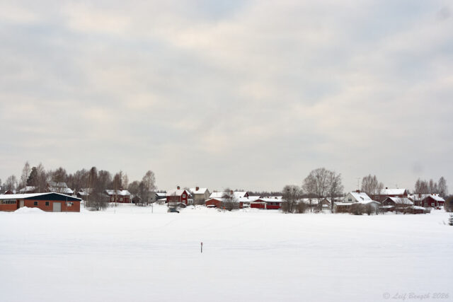 Limbäck