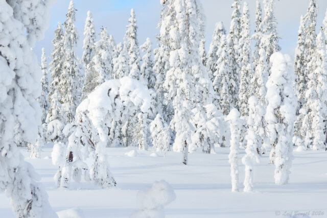 Brändfljoten
