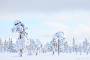Vinter på Våmhuskölen
