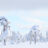 Vinter på Våmhuskölen