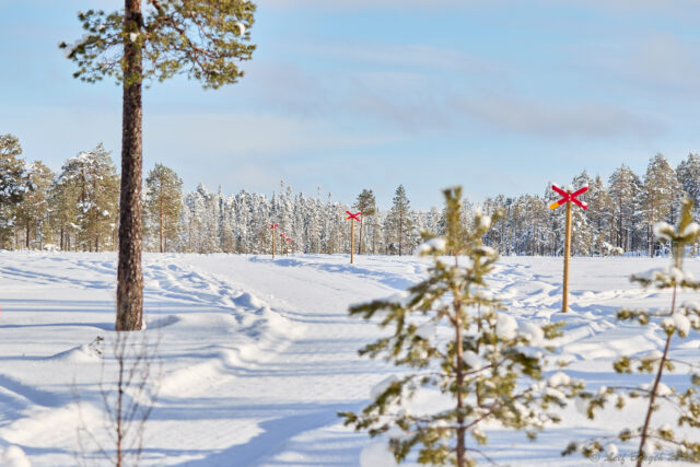 Skoterleden på Kölmyren