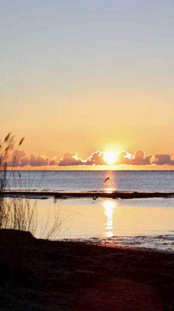 Morning has broken…