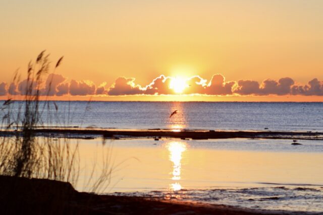 Soluppgång över havet