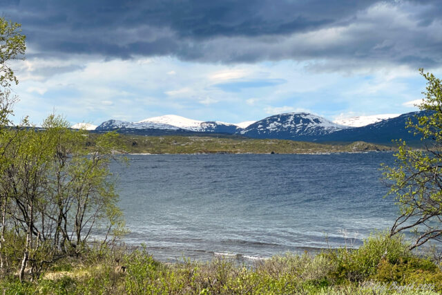 Utsikt från Tornehamn över Torneträsk 