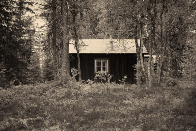 Geddtjennkojan