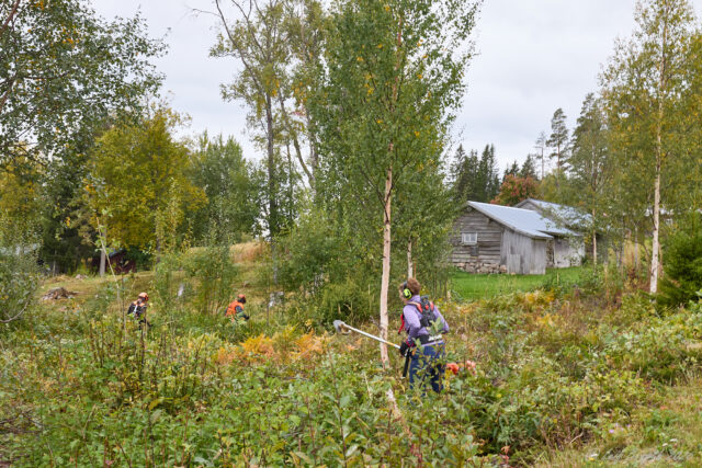 Jåpasa i Näsberg 12 sept 2026