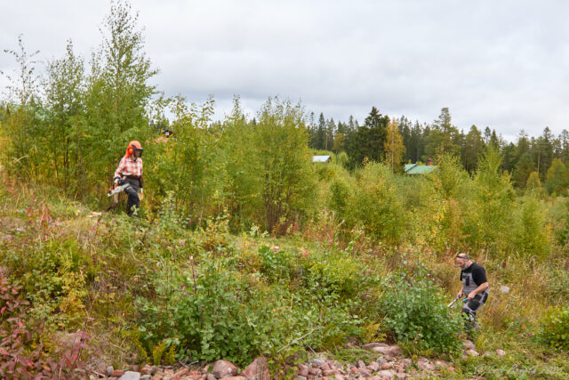 Jåpasa i Näsberg 12 sept 2026