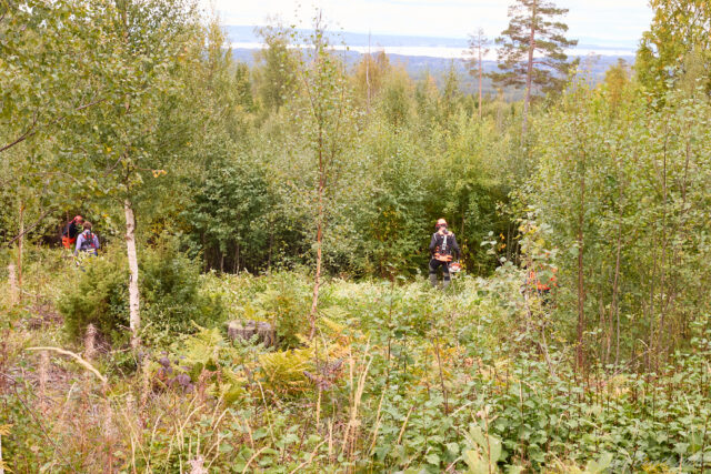 Jåpasa i Näsberg 12 sept 2026