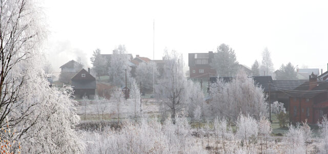 Sturwol i Stadn'