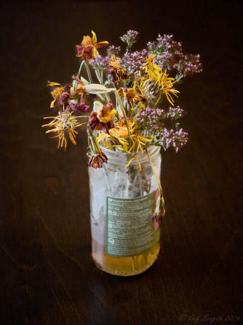 Höstblommor