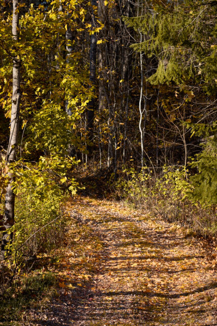 Höstväg