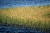 Höstbilder i sommarvärme