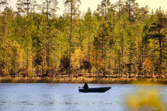 Hösten är här