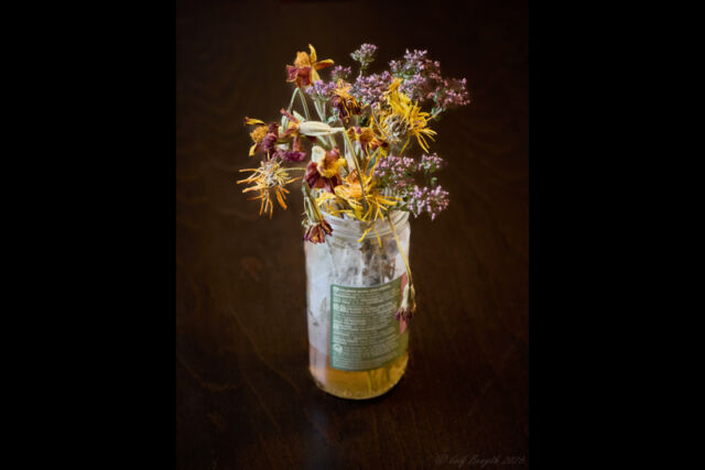Höstblommor