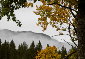 Trysilfjäll